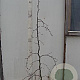 Fagus syl. 'Purpurea Pendula' 150-175 cm 15L