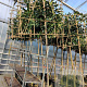 Prunus l. 'Caucasica' 10-12 cm container LEIVORM 200 cm stam