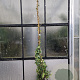 Trachelospermum jasminoides 250-300 cm 18L