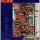 Pyracantha 'Orange Glow' 60-80 cm 2,0L