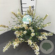 Buddleja Free Petite Snow White 25-30 cm 2,5L