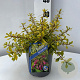 Escallonia Golden Carpet 25-30 cm 2,0L