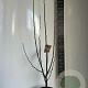 Malus 'Golden Hornet' 100-120 cm 10L