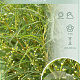 Frangula alnus Fine Line 100-125 cm 10L