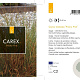 Carex testacea 'Prairie Fire' GM 2,0L