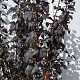 Physocarpus opulif. 'Diabolo' 150-175 cm met kluit
