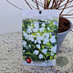 Philadelphus 'Manteau d'Hermine' 40-50 cm 3,0L