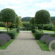 Quercus ilex 8-10 HO container