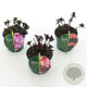 Hydrangea m. Black Diamonds Mix 15-20 cm 2,0L