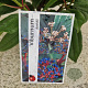 Viburnum davidii 25-30 cm 2,5L