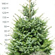 Picea omorika 150-175 cm met kluit extra