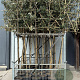 Quercus ilex 8-10 HO container lei 120x120 200 cm stam