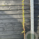 Clematis cirrhosa 'Jingle Bells' 150-175 cm vierkant rond 5,5L