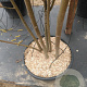 Sorbus aucuparia 200-250 cm cont. 70L meerstammig