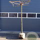 Morus alba 'Fruitless' 20-25 HO draadkluit dakvorm 240 cm stam