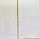 Salix integra 'Hakuro-nishiki' 180 cm stam 7,5L