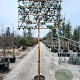 Photinia fraseri 'Red Robin' 10-12 cm container LEIVORM 200 cm stam