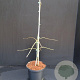 Acer pal. 'Dissectum' 30-40 cm 5,0L