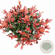 Photinia fraseri 'Little Red Robin' 30-40 cm 5,0L