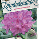 Rhododendron 'Catawb. Boursault' 30-40 cm 5,0L