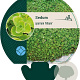 Sedum spurium 'Album' GM P9