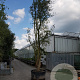 Quercus suber 550-600 cm container meerstammig