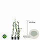 Hedera helix 80-100 cm P11 Gestokt