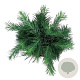 Larix kaempf. 'Grey Pearl' 40 cm stam 5,0L