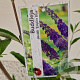 Buddleja d. 'Empire Blue' 50-55 cm 3,0L
