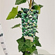 Hedera hibernica 125-150 cm 2,5L