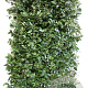 Elaeagnus ebb. 'Compacta' 180 hoog Haagelement 100Bx40D