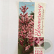 Syringa 'Pink Perfume' 60 cm stam 5,0L