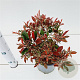 Photinia fraseri 'Little Fenna' 20-30 cm 2,5L
