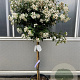 Viburnum tin. 'Eve Price' 80 cm stam 20L Halfstam extra
