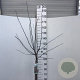 Malus toringo 'Freja' 90 cm stam 10L