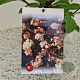 Viburnum farreri 60-80 cm 2,5L
