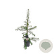 Larix decidua 100-125 cm 5,0L