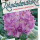 Rhododendron 'Catawb. Grandiflorum' 30-40 cm 5,0L