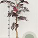 Albizia julibr. 'Summer Chocolate' 80-100 cm 3,0L