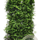 Thuja occ. 'Brabant' 200 Hoog Haagelement 100Bx40D