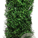 Thuja plicata 'Martin' 200 Hoog Haagelement 100Bx40D