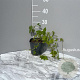 Humulus lupulus GM 2,0L