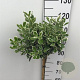 Euonymus jap. 'Kathy' 90 cm stam 7,5L