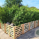 Thuja occ. 'Brabant' 180-200 cm met kluit