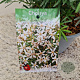 Choisya t. White Dazzler 25-30 cm 2,5L