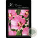 Hibiscus syr. 'Woodbridge' 90 cm stam 15L