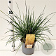 Deschampsia cesp. 'Goldtau' 60-80 cm 4,0L