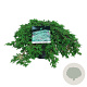 Juniperus comm. 'Green Carpet' 40-50 cm 6L
