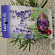 Lavandula ang. 'Munstead' GM 1.5