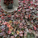 Heuchera m. 'Palace Purple' GM 2,0L